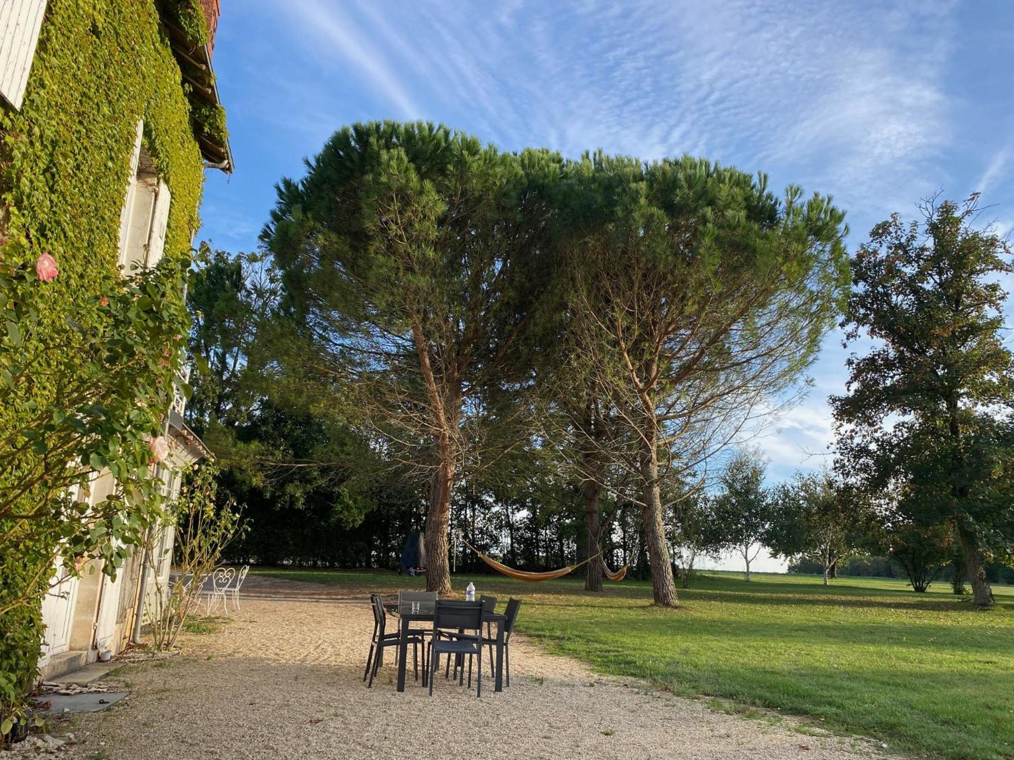 Domaine De Treuillaud Bed and Breakfast Villers-les-Ormes Εξωτερικό φωτογραφία